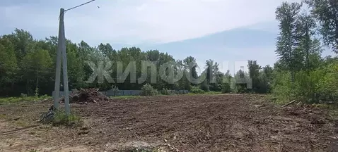 Участок в Новосибирская область, Новосибирский район, Кубовинский ...