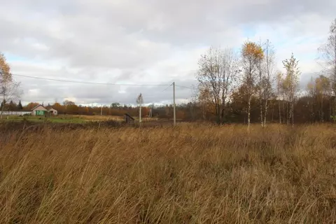 Участок в Московская область, Шаховская муниципальный округ, д. ...