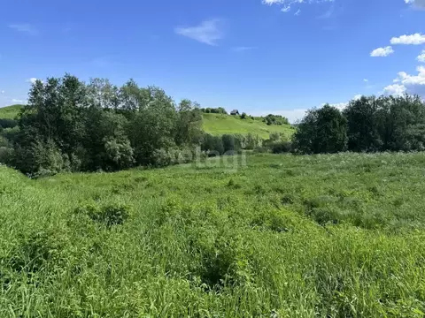 Участок в Архангельская область, Приморский муниципальный округ, д. ...