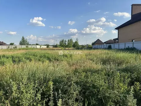 Участок в Воронежская область, Новоусманский район, Отрадненское ...