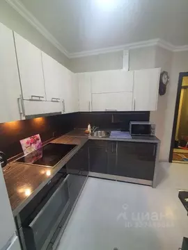 Студия Санкт-Петербург просп. Просвещения, 43 (27.0 м)