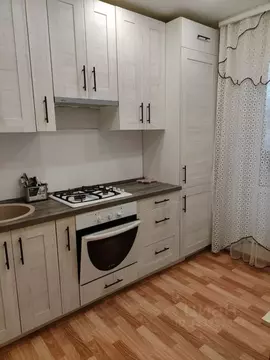 1-к кв. Татарстан, Пестречинский район, Шигалеевское с/пос, с. Новое ...