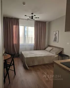 Студия Санкт-Петербург ул. Пахомовская, 12к1 (21.0 м)