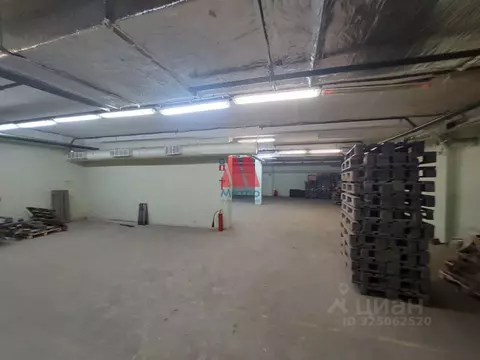 Помещение свободного назначения в Ярославская область, Ярославль ул. ...