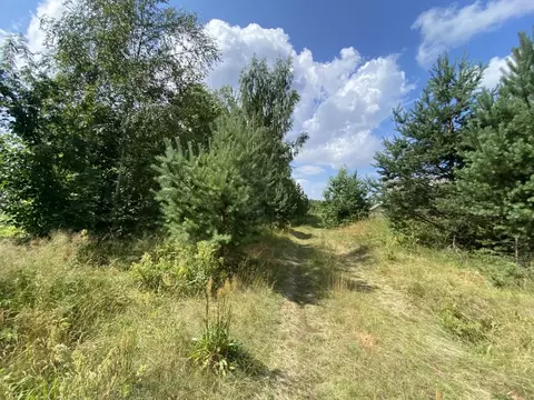 Участок в Псковская область, Гдовский район, Спицинская волость, д. ...