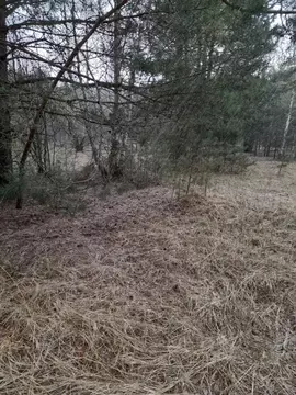 Участок в Владимирская область, Суздальский район, Селецкое ...