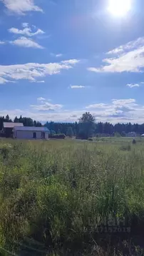 Участок в Ярославская область, Ярославский муниципальный округ, д. ...