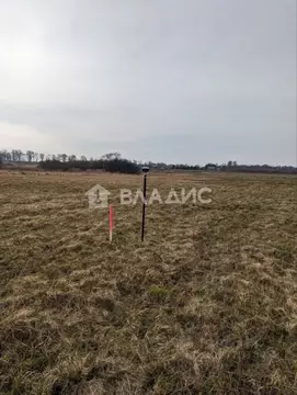 Участок в Калининградская область, Зеленоградский муниципальный округ, ...