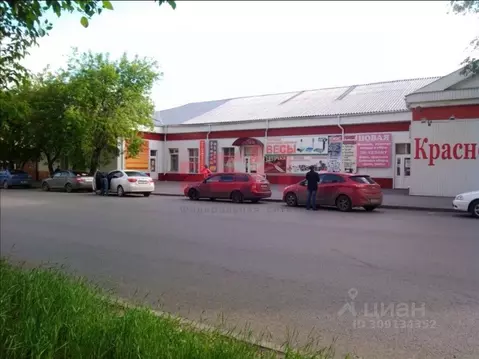 Торговая площадь в Курганская область, Курган ул. Тимофея Невежина, ...