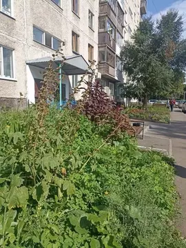 3-к кв. Кемеровская область, Кемерово Октябрьский просп., 7 (59.4 м)