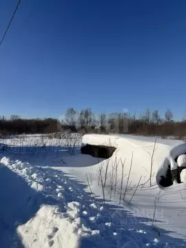 Участок в Тюменская область, Тюмень Царево садовое товарищество, ул. ...