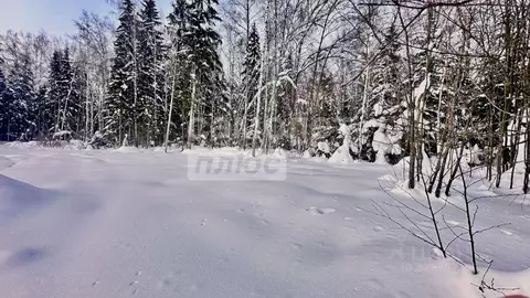 Участок в Московская область, Истра муниципальный округ, д. Сысоево  ...