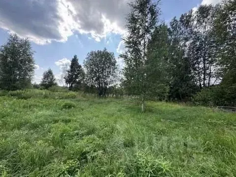 Участок в Ленинградская область, Ломоносовский район, Лебяженское ...