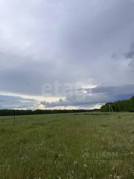 Участок в Курганская область, Кетовский муниципальный округ, КП Лесная ...