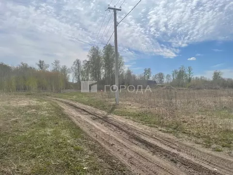 Участок в Алтайский край, Первомайский район, пос. Новый ул. 1-я ...