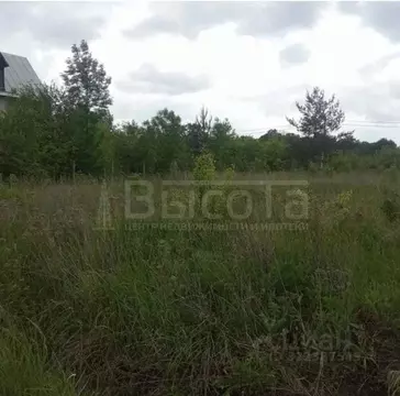 Участок в Воронежская область, Рамонский район, с. Новоживотинное ...