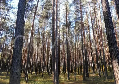 Участок в Ленинградская область, Всеволожский район, Бугровское ...