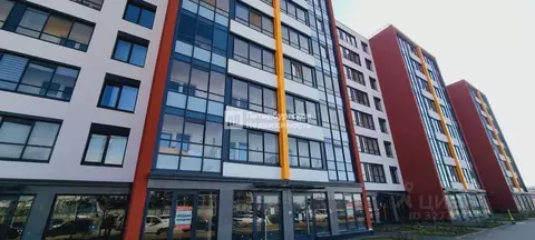 Студия Санкт-Петербург просп. Буденного, 19к1 (24.2 м)