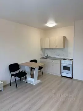 Студия Пермский край, Пермь ул. Адмирала Ушакова, 34А (26.1 м)