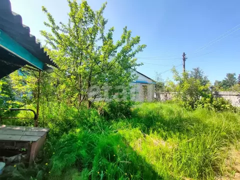 Дом в Брянская область, Брянск Фестивальная ул. (83 м)