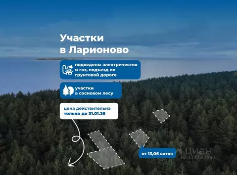 Участок в Ярославская область, Рыбинский муниципальный округ, д. ...