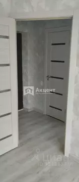 1-к кв. Ивановская область, Иваново ул. Павла Большевикова, 9 (20.5 м)