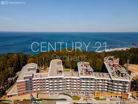 1-комнатная квартира: Светлогорск, улица Верещагина, 10 (74.8 м)