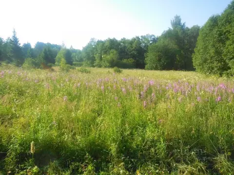 Участок в Вологодская область, Сокол  (11.0 сот.)