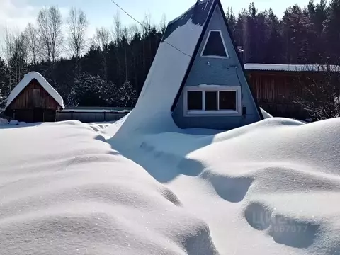 Дом в Свердловская область, Невьянский муниципальный округ, пос. Аять, ...
