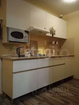 2-к кв. Санкт-Петербург просп. Лахтинский, 108 (42.0 м)