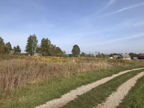 Участок в Псковская область, Палкинский район, Черская волость, д. ...