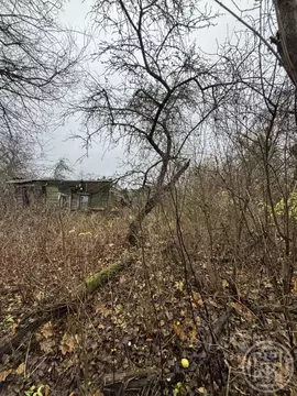 Участок в Ленинградская область, Ломоносовский район, Пениковское ...