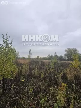 Участок в Московская область, Можайский муниципальный округ, КП ...