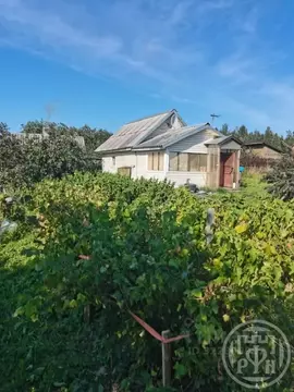 Дом в Ленинградская область, Кингисеппский район, д. Вистино ул. ...