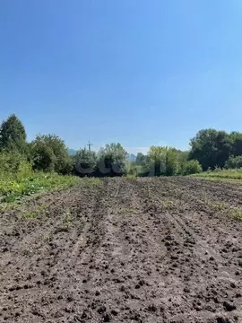 Участок в Кемеровская область, Новокузнецкий муниципальный округ, пос. ...