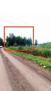 Участок в Архангельская область, Приморский муниципальный округ, Ильма ...