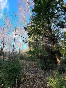 Участок в Московская область, Наро-Фоминский городской округ, Лесная ...