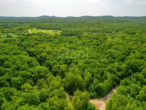 Участок в Хабаровский край, Хабаровский район, с. Краснореченское, ...