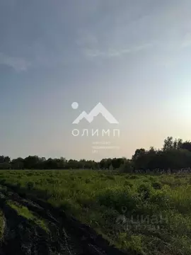 Участок в Вологодская область, д. Новое (Борисовский сельсовет)  (29.0 ...