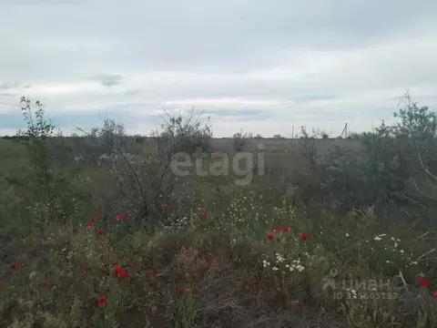 Участок в Крым, Ленинский район, Семисотское с/пос, с. Каменское ул. ...