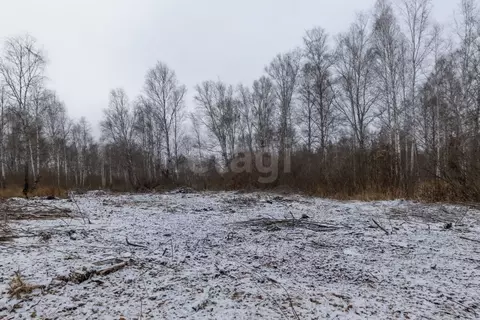 Участок в Тюменская область, Нижнетавдинский муниципальный округ, ...