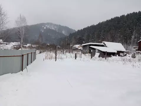 Участок в Алтай, Майминский район, с. Соузга Лесная ул. (6.0 сот.)