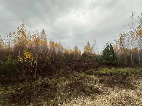 Участок в Московская область, Луховицы муниципальный округ, с. Матыра ...