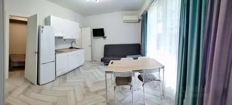 1-к кв. Краснодарский край, Сочи Новый Сочи мкр, ул. Клубничная, 64 ...