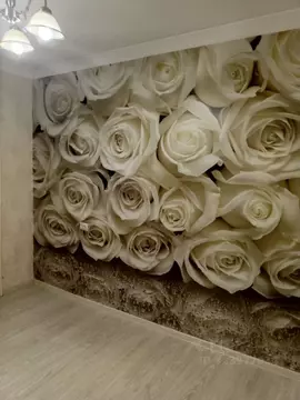 3-к кв. Красноярский край, Красноярск Светлогорская ул., 33 (58.0 м)