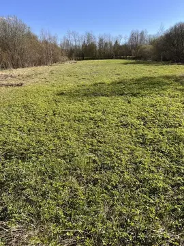 Участок в Ленинградская область, Кировский район, Шумское с/пос, с. ...