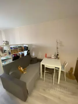 Студия Санкт-Петербург дор. Кушелевская, 7к6 (29.0 м)