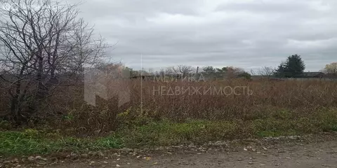 Участок в Горбуновское, Набережная улица (24.5 м)