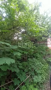 Участок в Белгородская область, Белгородский район, Беломестненское ...