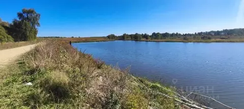 Участок в Тульская область, Ясногорский район, Ревякинское с/пос, с. ...